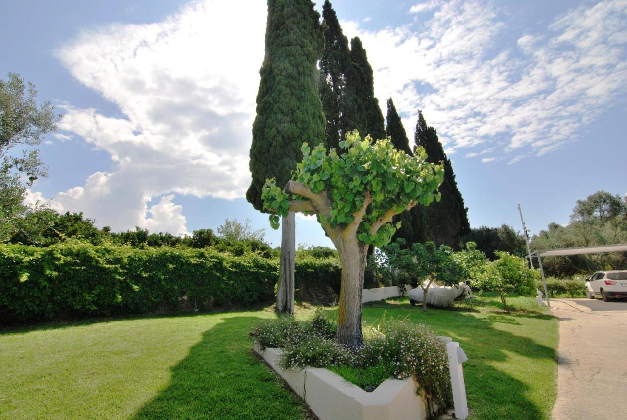 Cypress Garden Villas Svoronata Exterior photo